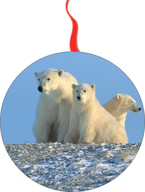 Polar Bears Christmas  Ornament