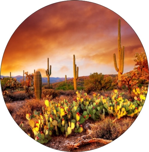 Set of 4 Coaters Sunset Arizona Desert