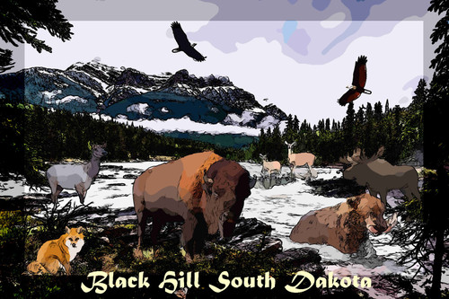 Black Hill Sd Travel  Poster