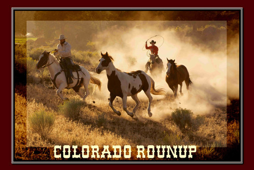 Wild Mustang Horse Roundup  Colorado Travel Poster