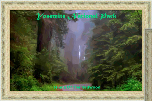 Redwood Trees Yosemite National Park Travel Poster