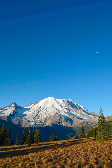 Mt/ Rainier Travel Poster