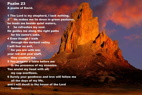 Poster  Bible Scripture The Lord Is My Shepherd I Shall Not Want... Large Poster