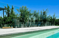 Deciding Between Aluminium & Glass Pool Fencing