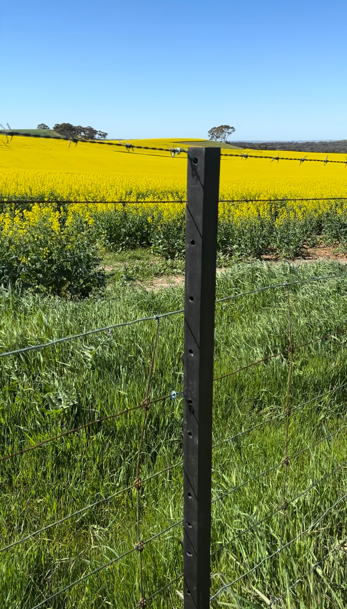 Buy EnduraPost Star Picket Fencing Online Australia