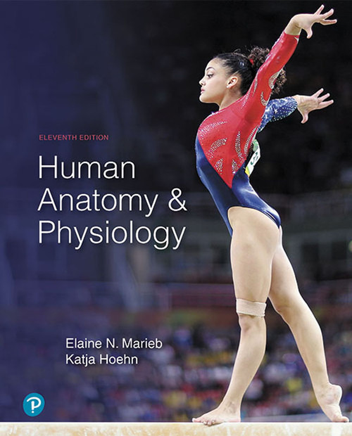 (eBook PDF) Human Anatomy & Physiology  11th Edition