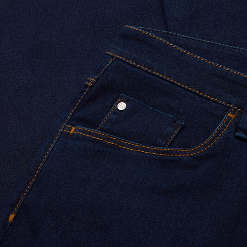 Oxford blue jeans, slim fit, "Big Lion" embroidery