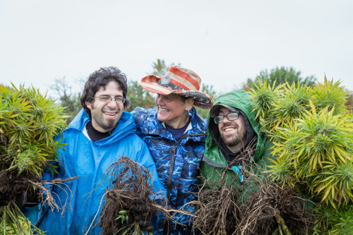 Velasquez Brothers and Stacy at first harvest. Velasquez Brothers and Stacy at first harvest.
