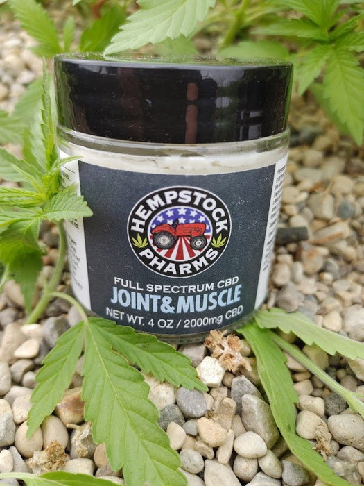 Joint & Muscle