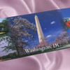 Washington DC US Capital Collectible Refrigerator Magnet
