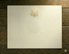 Blank Certificate Paper - Standard Landscape 11" x 8.5" - GS Logo Gold foil-stamped