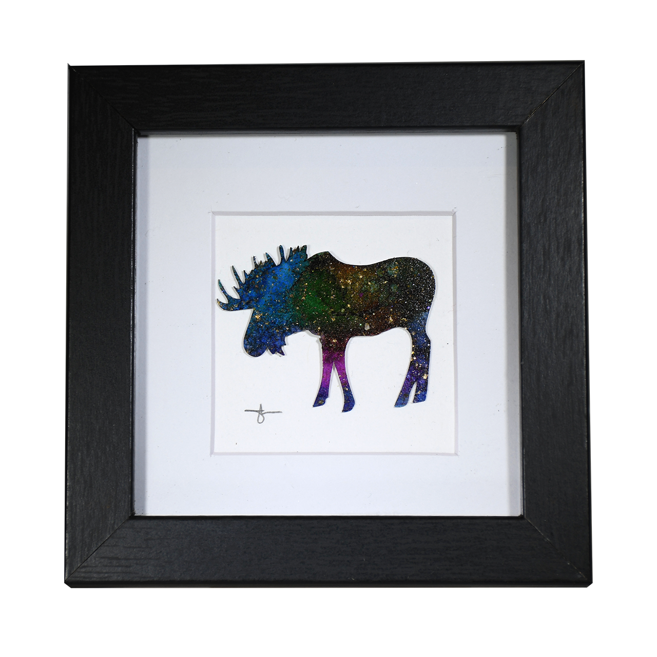 Moose Coddiwomple 3x3