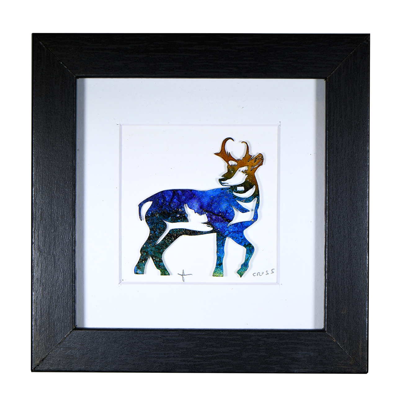 Pronghorn Coddiwomple 3x3