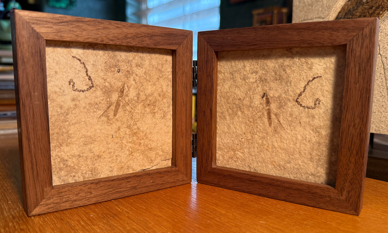 Fossil Water Strider - Wyoming (family Gerridae), in custom walnut keepsake frame