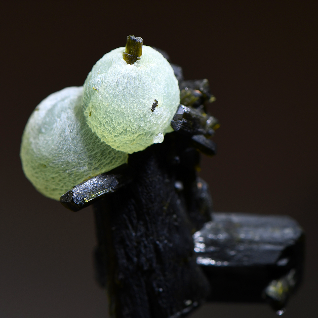 Epidote with Prehnite Closeup Front