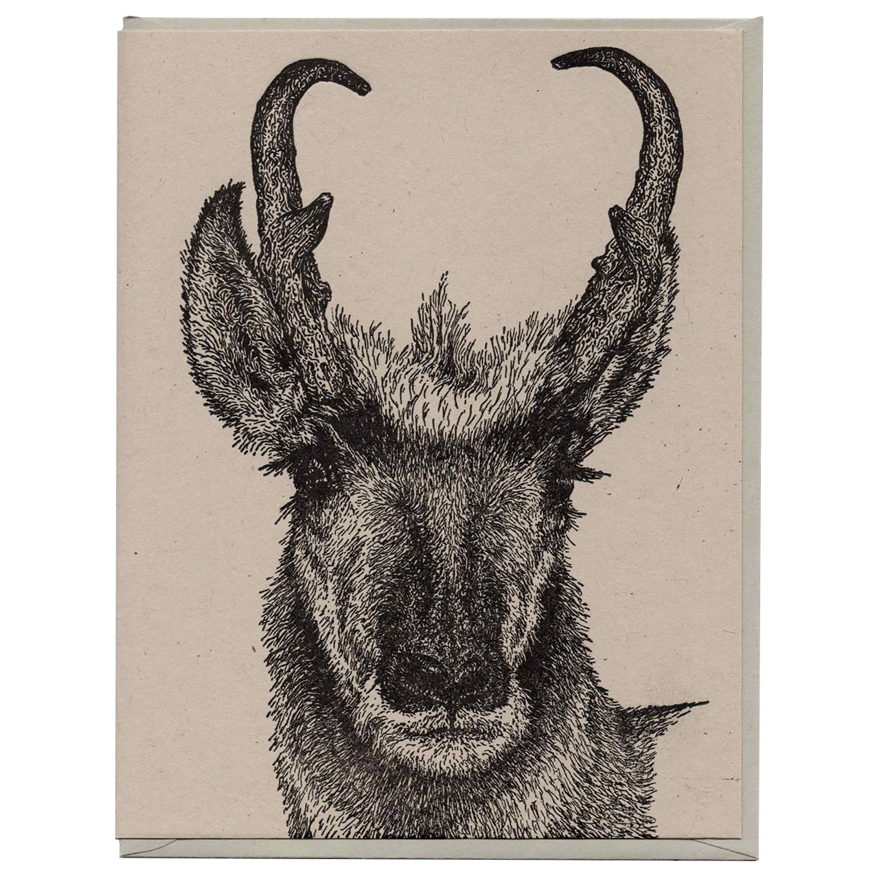 Pronghorn Card