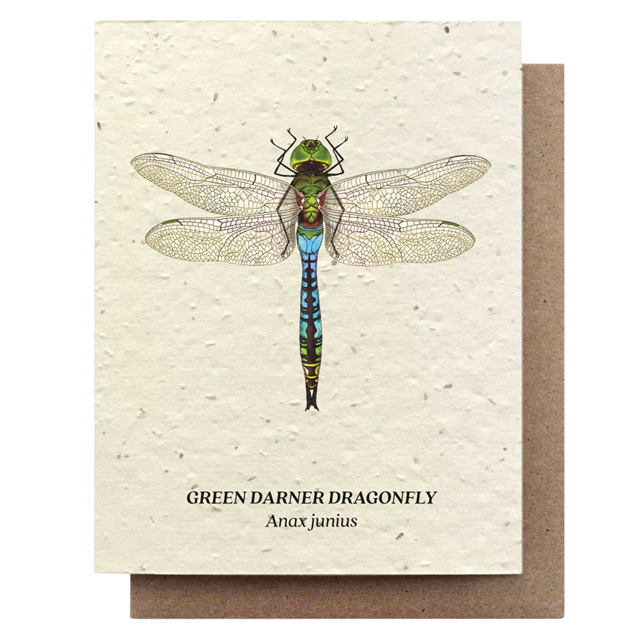 Dragonfly Card