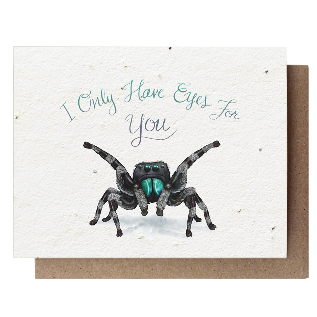 Jumping Spider Card