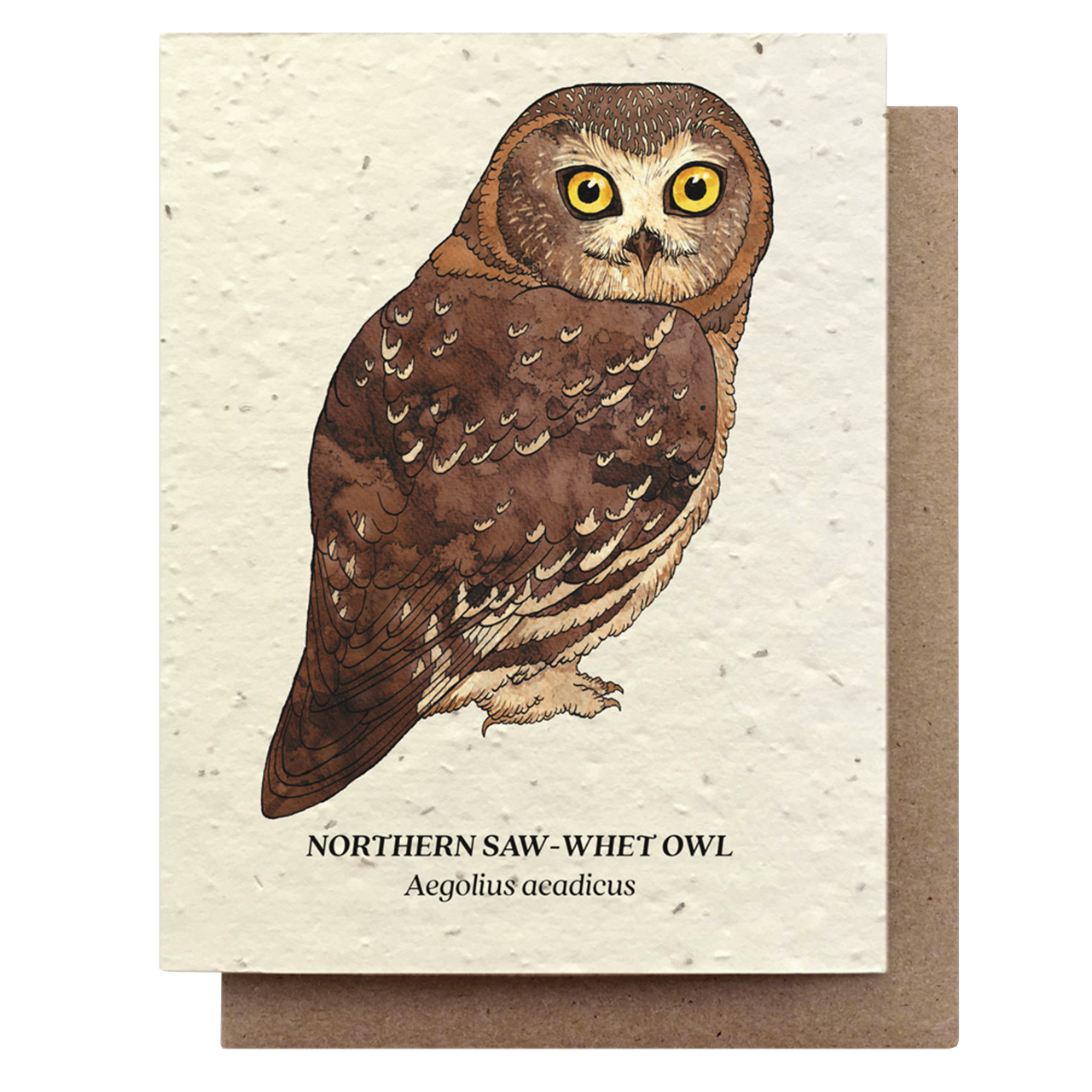 Owl Card