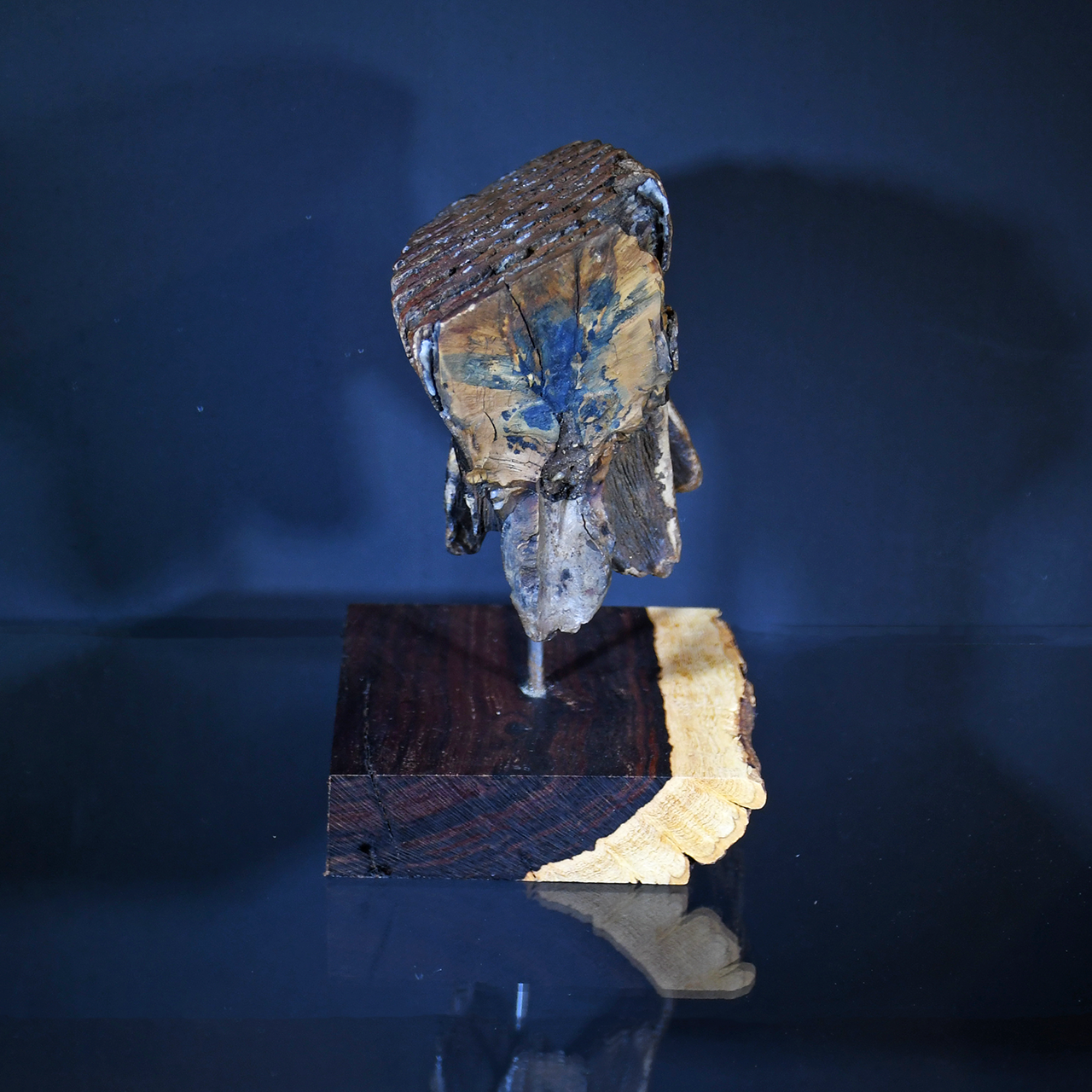 Mammoth Tooth Side with Vivianite