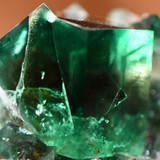 Minerals & Fossils