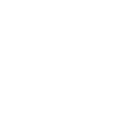 The NTVS