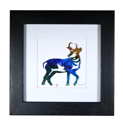 Pronghorn Coddiwomple 3x3