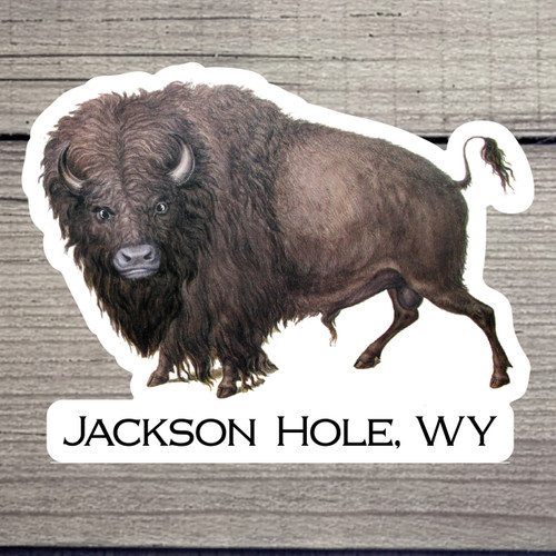 Teton Minerals Sticker - George Catlin Buffalo - Jackson Hole WY