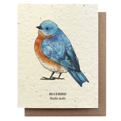 Bluebird Card