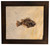 Green River Fossil Fish - Priscacara serrata - With Custom Walnut Frame