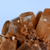 Close up of Red Aragonite Crystal