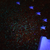 5 x 7 Bear Coddiwomple UV Closeup