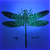 Dragonfly Coddiwomple UV