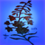 Fireweed Coddiwomple UV