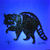 Raccoon Coddiwomple UV
