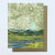 Yellowstone Topo Card