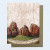 Zion Topo Card
