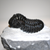 Phacops Trilobite Left Side