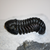 Phacops Trilobite Left