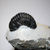 Phacops Trilobite Left