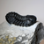 Phacops Trilobite Right