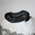 Phacops Trilobite Right