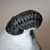 Phacops Trilobite Left