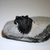 Cornuproetus Trilobite Back