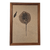 Framed Stingray Fossil