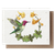 Hummingbird Card