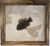 Green River Fossil - Priscacara in Black Limba Frame