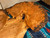 Maple Burl Wood Bowl by Shanti Yard - View #3
