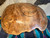 Maple Burl Wood Bowl - Bottom View