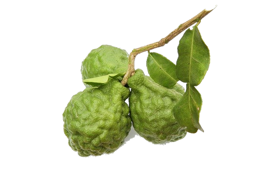 Essence de Grasse — Bergamot 115ml